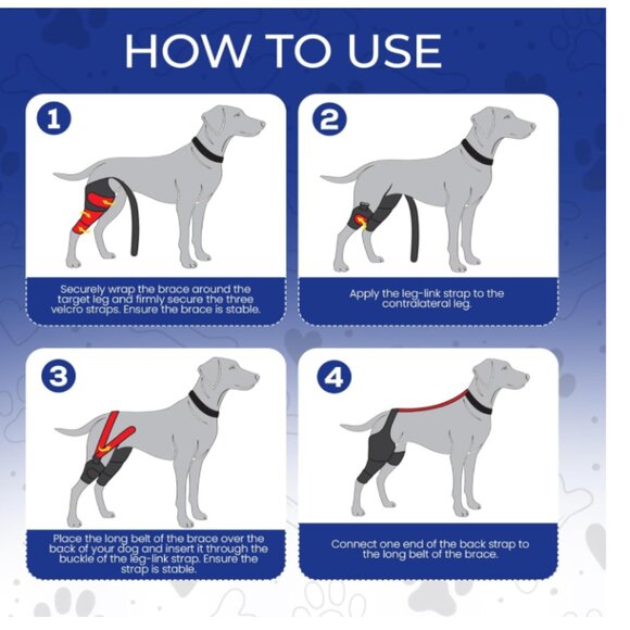 Dr. Paw Dog ACL Knee Brace, Dog Knee Brace  Torn ACL Hind Leg Secure Fit, S XL - Picture 4 of 7